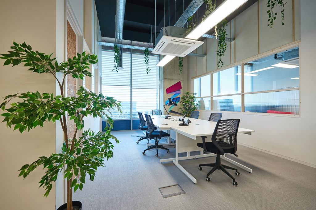 An office with a desk, chairs and a plant.