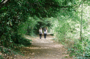 Two people walking down a path in the woods.